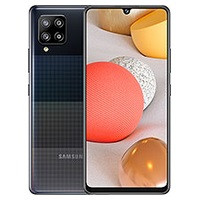 Galaxy A42 5G SM-A425F